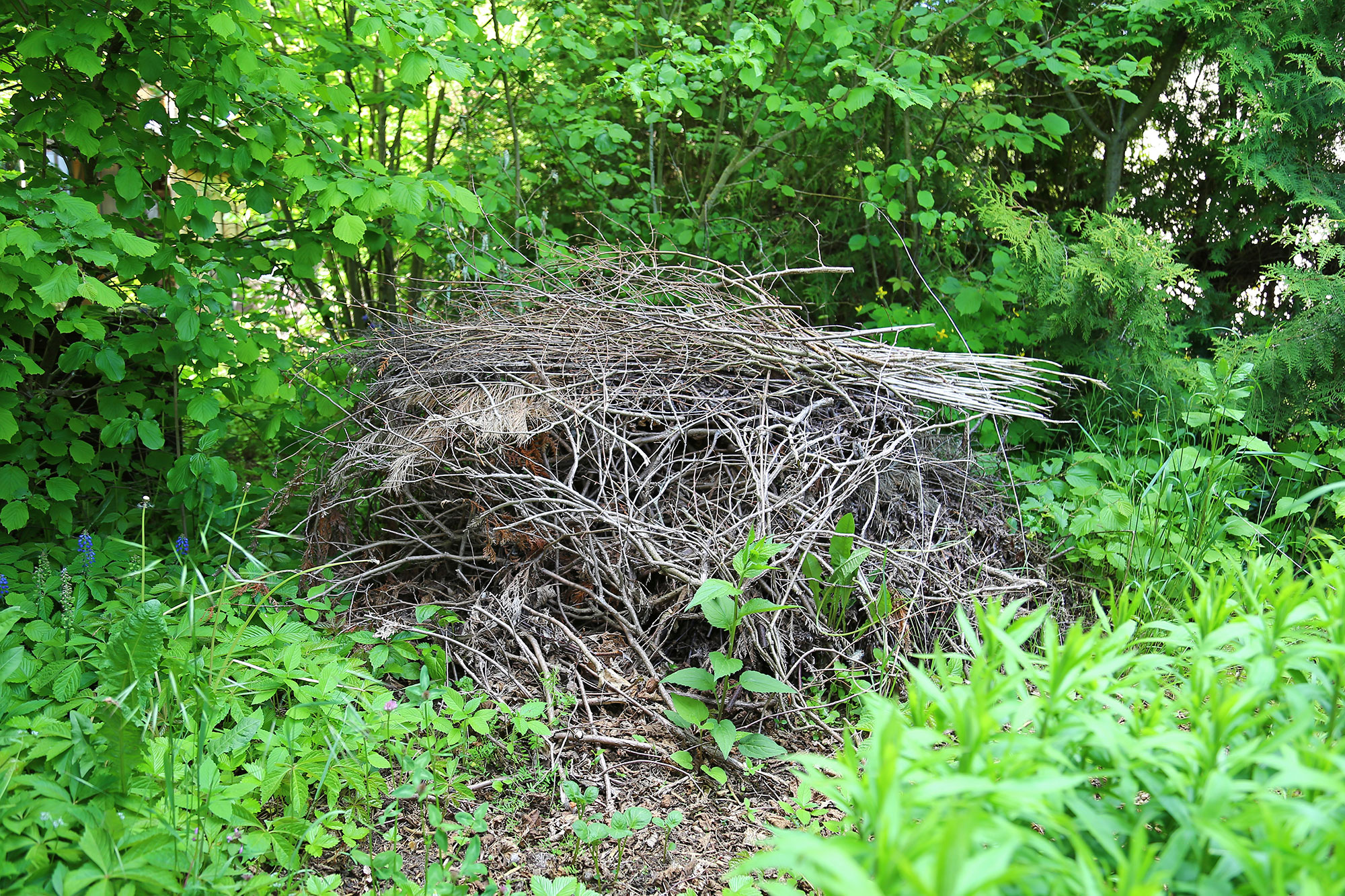 Vogelfreundlicher Garten Anmeldung ihres Gartens LBV